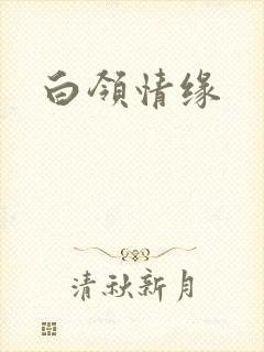 白领情缘