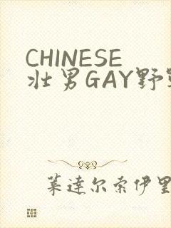 CHINESE壮男GAY野战强迫TUBE