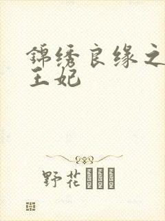锦绣良缘之北地王妃