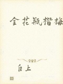 金花瓶楷梅花4