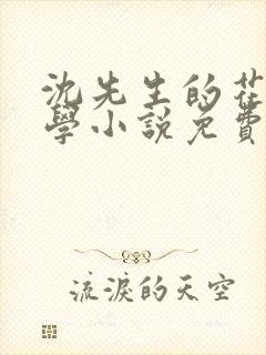沈先生的花式教学小说免费