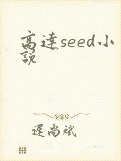 高达seed小说