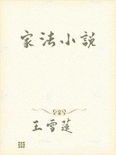 家法小说