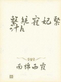 系统宠妃紧致多汁h封面