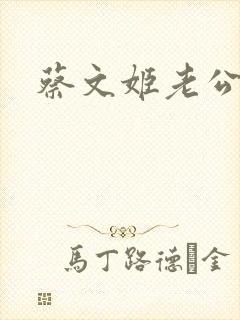 蔡文姬老公