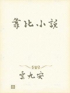 靠比小说封面