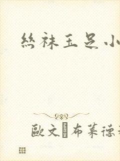 丝袜玉足小说封面