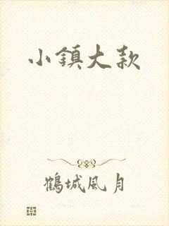 小镇大款