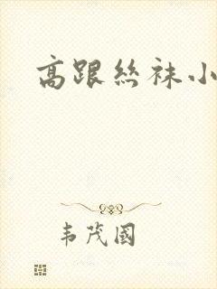 高跟丝袜小说封面