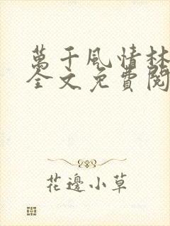 万千风情林小涛全文免费阅读