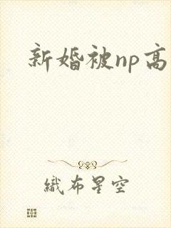 新婚被np高h