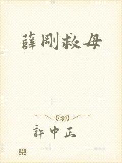 薛刚救母