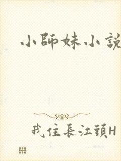 小师妹小说