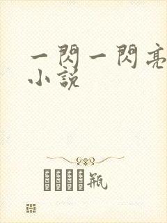 一闪一闪亮星星小说封面
