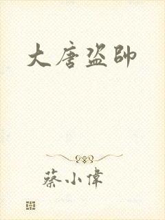 大唐盗帅