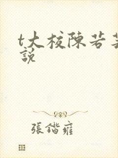 t大校陈若芸小说封面