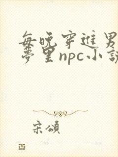 每晚穿进男神的梦里npc小说