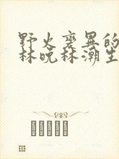 野火变异的父爱林晚林潮生封面