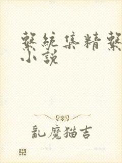 系统集精系统 小说