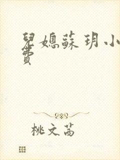 儿媳苏玥小说免费