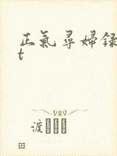 正气寻妇录txt
