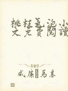 桃枝气泡小说全文免费阅读
