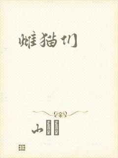雌猫们封面