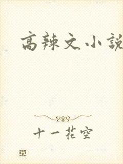 高辣文小说