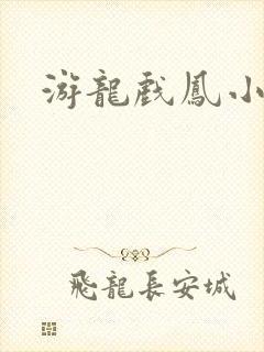 游龙戏凤小说