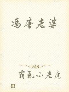冯唐老婆封面