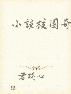 小说校园奇侠