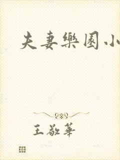 夫妻乐园小说