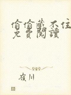 偷偷藏不住小说免费阅读