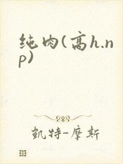 纯肉(高h.np)