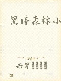 黑暗森林小说