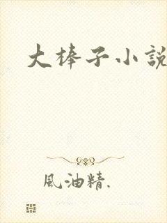大棒子小说