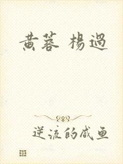 黄蓉 杨过