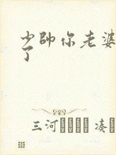 少帅你老婆又跑了