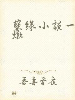 孽缘小说一家乱炖