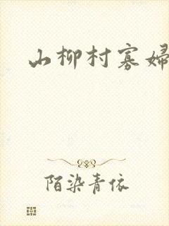 山柳村寡妇情史