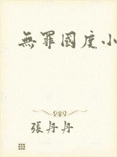 无罪国度小说