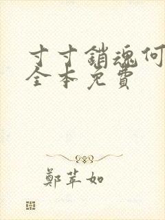 寸寸销魂何生祥全本免费