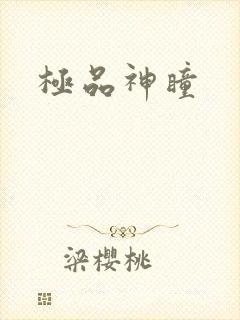 极品神瞳封面