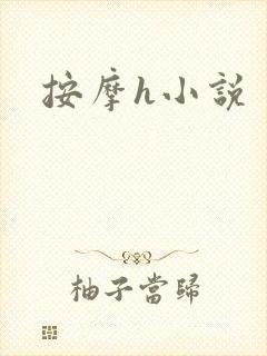 按摩h小说