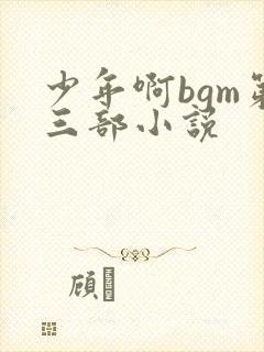少年啊bgm第三部小说
