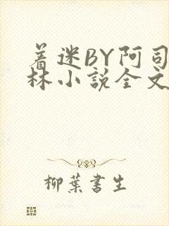着迷BY阿司匹林小说全文免费阅读