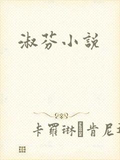 淑芬小说