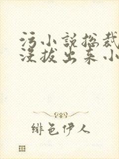 污小说总裁整夜没拔出来小说在线阅读