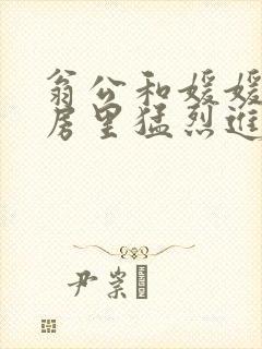 翁公和媛媛在厨房里猛烈进出