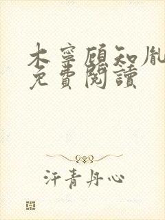 木宁顾知胤小说免费阅读